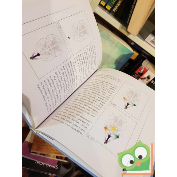 Békefi Mária: Szivárványhíd - A színek világa