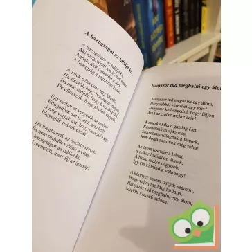 Bradányi Iván: Szivárványt főzök télire (versek)