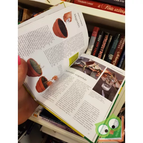 Elisabeth Manke: Szobanövények gondozása (kertész 1x1)