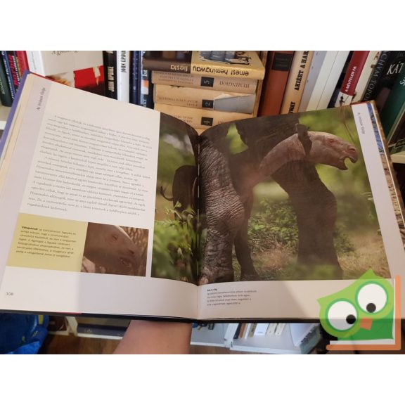 Tim Haines: Szörnyek a földön Őskori szafari