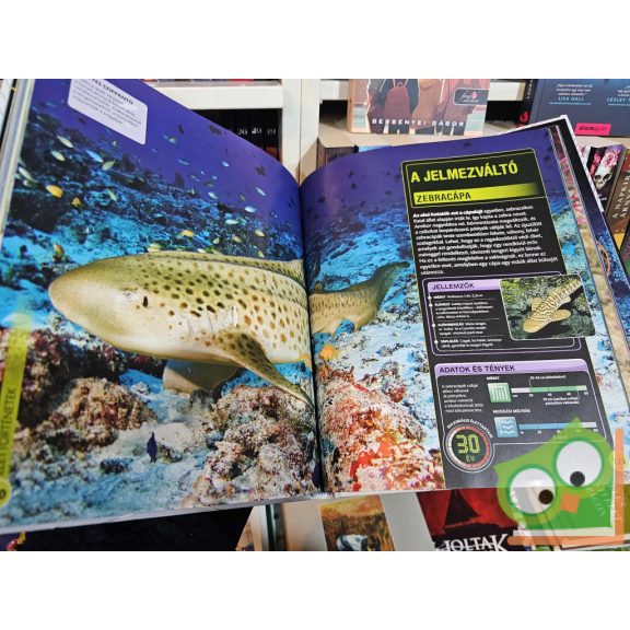 Szupercápák és más mélytengeri élőlények