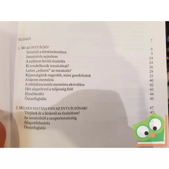 Kurt Tepperwein: Szuperintuíció - A belső hang üzenete (nagyon ritka)