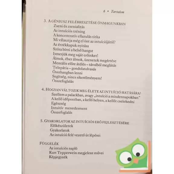 Kurt Tepperwein: Szuperintuíció - A belső hang üzenete (nagyon ritka)