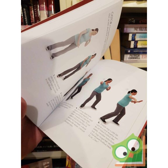 Kim Davies - Simon Robins: Tajcsi (Titkok nélkül) (újszerű)