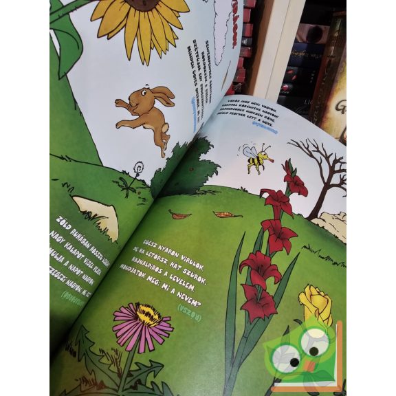 Kovács Sándor: Találós kérdések