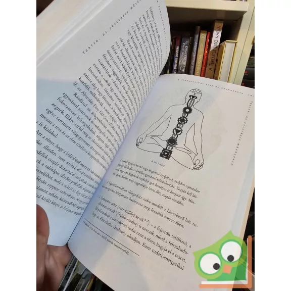 Georg Feuerstein: Tantra, az extázis ösvénye (ritka)