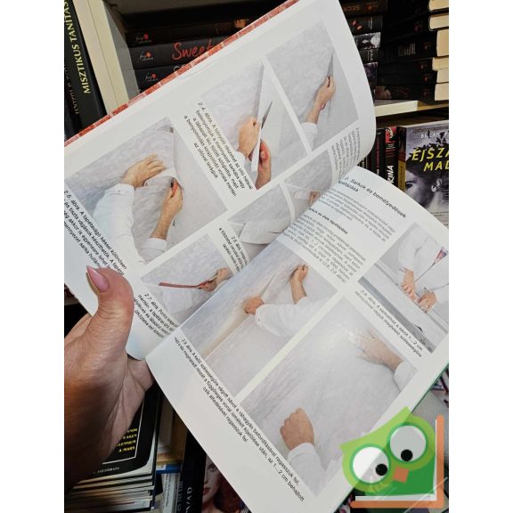 Lothar Steinbrecher, Roland Wahl: Tapétázás (Mestermunka sorozat )