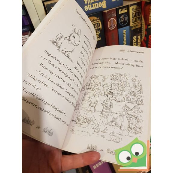 Daisy Meadows: Tapsifül rejtélyes eltűnése (Varázslatos Állatbirodalom 1.)