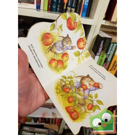 Lisa McCue: Tapsival lesz tanulósdi: sárgarépa-számolósdi! (leporelló)