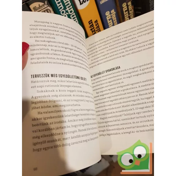 Jocelyn K. Glei (szerk.): Tartsuk kézben hétköznapjainkat! (HVG könyvek) (ritka)