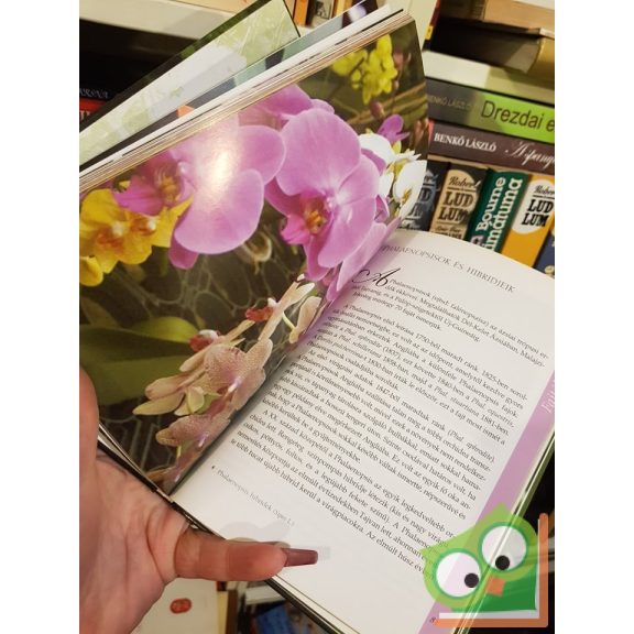 Tátrai Zsuzsa: Orchideák (második, bővített kiadás, RITKA)