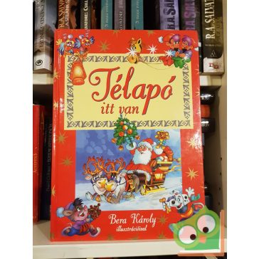 Bera Károly, R. Kárándi Rita (szerk.): Télapó itt van
