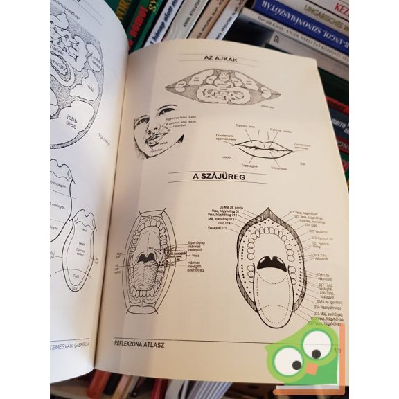 Temesvári Gabriella: Reflexzóna atlasz (Ritka)