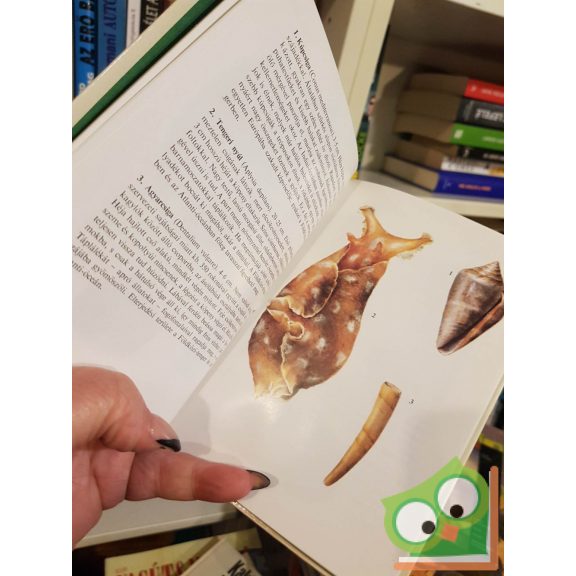 Podani János: Tengeri állatok 1. (Búvár zsebkönyvek)