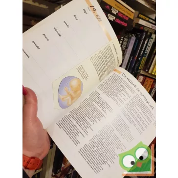 Nina Grunfeld: Terhesség hétről hétre