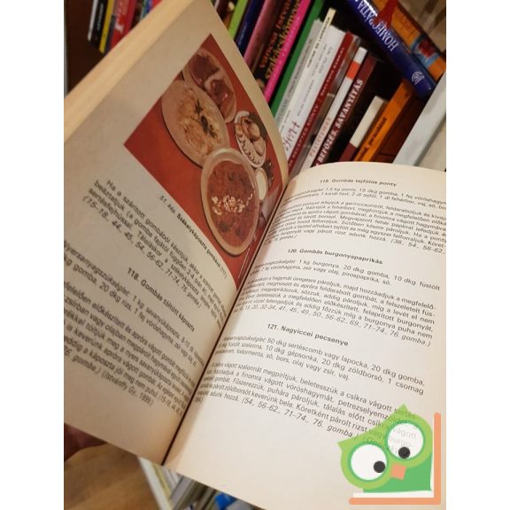 Lévai Judit: Terítéken a gomba