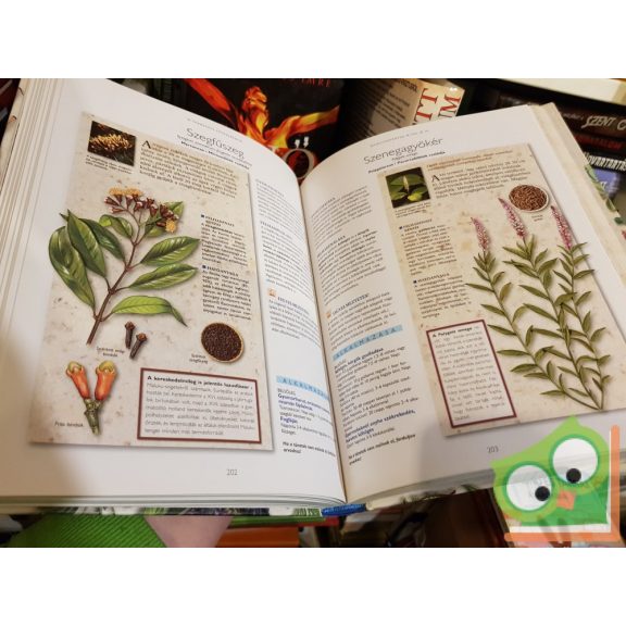 A természet füvészkertje 200 növény 150 betegség gyógyítására