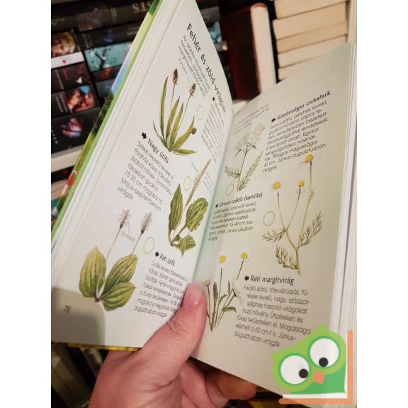 Humphries - Harris - Holden - Wootton: Természetbarátok zsebkönyve (ritka)