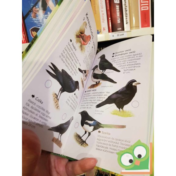 Humphries - Harris - Holden - Wootton: Természetbarátok zsebkönyve (ritka)