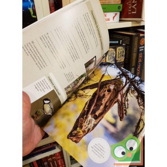 Maria Fisher,  Amen Fisher: Természetes madárlakok