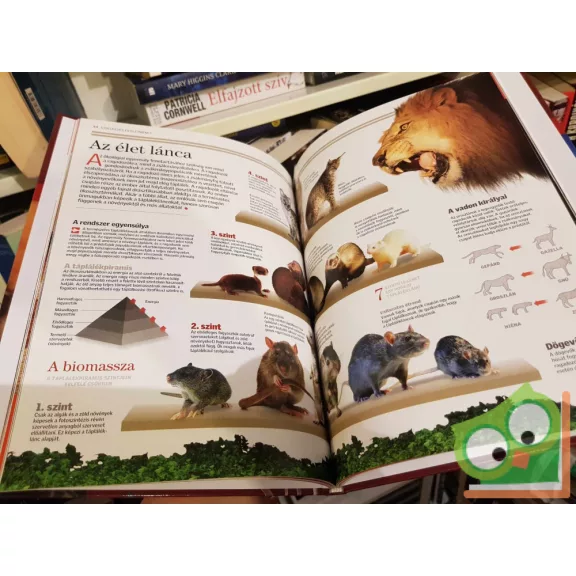 Ujhelyi Péter (szerk.): Emlősök (Természettudományi enciklopédia 11.)
