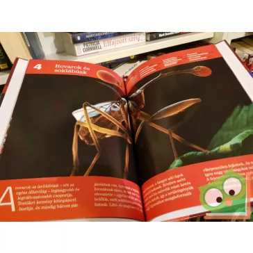   Ujhelyi Péter (szerk.):Gerinctelenek (Természettudományi enciklopédia 7.)