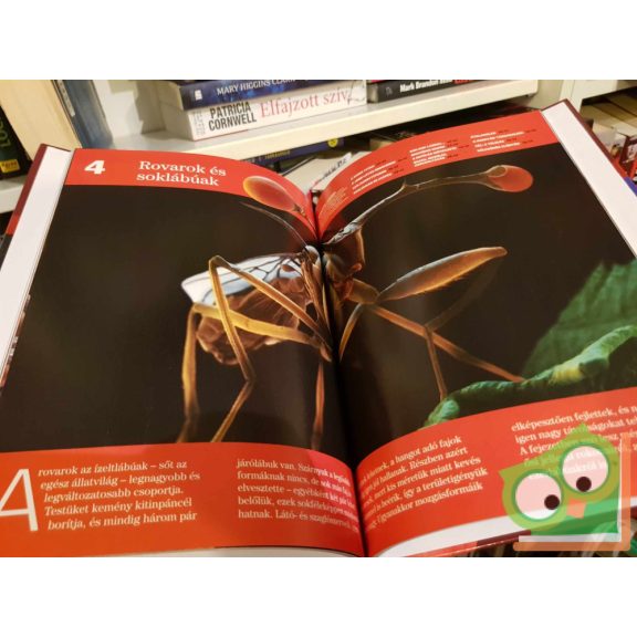 Ujhelyi Péter (szerk.):Gerinctelenek (Természettudományi enciklopédia 7.)