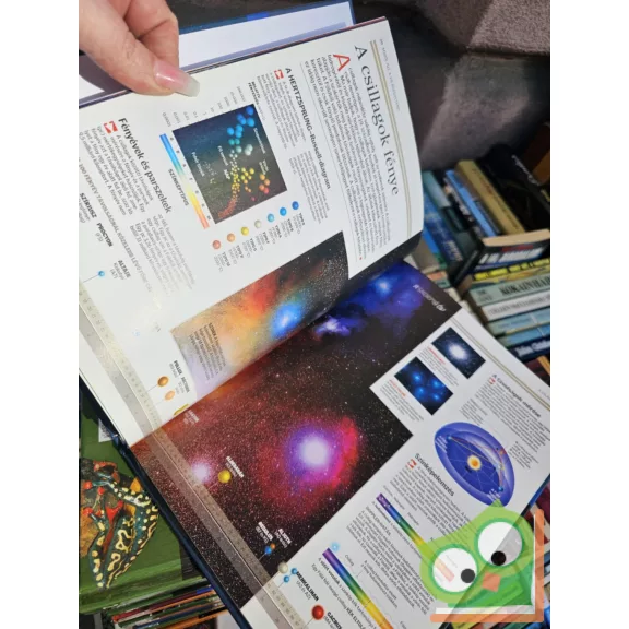 Természettudományi enciklopédia 1-16. (egyben a teljes sorozat)