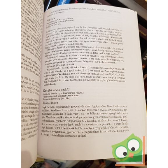 H. Mészáros Erzsébet: Termeszthető gyógynövények