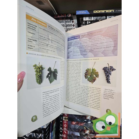 Nagymarosy András - Rohály Gábor - Mészáros Gabriella: Terra Benedicta - Áldott föld