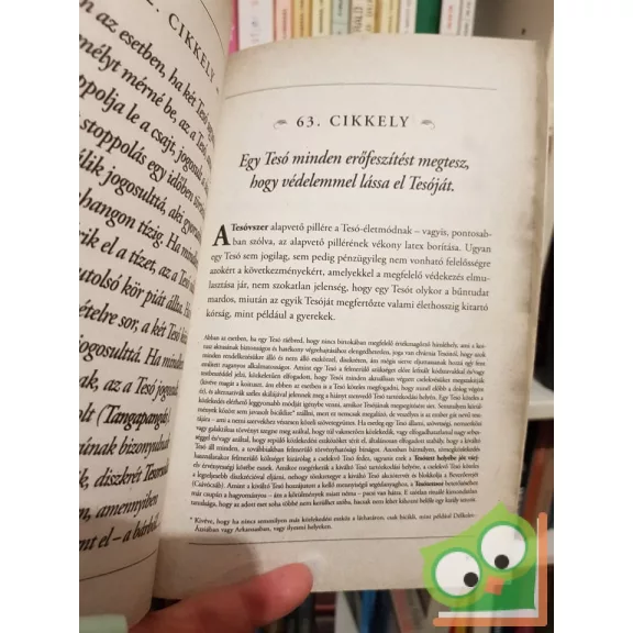 Barney Stinson, Matt Kuhn: A Tesó Kódex