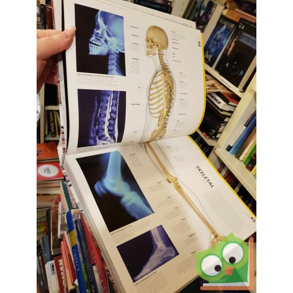 Dr. Alice Roberts: The Complete Human Body - The Definitive Visual Guid