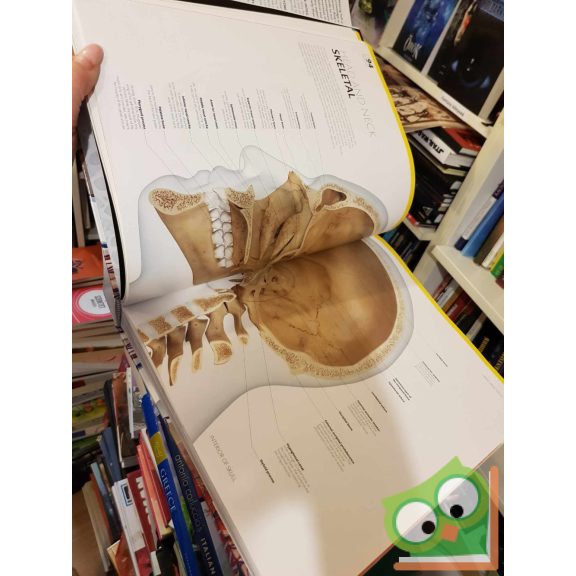 Dr. Alice Roberts: The Complete Human Body - The Definitive Visual Guid