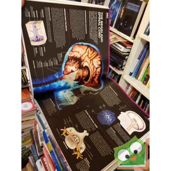 Dr. Alice Roberts: The Complete Human Body - The Definitive Visual Guid