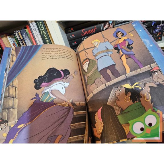 Walt Disney - The Hunchback of Notre Dame (ritka)