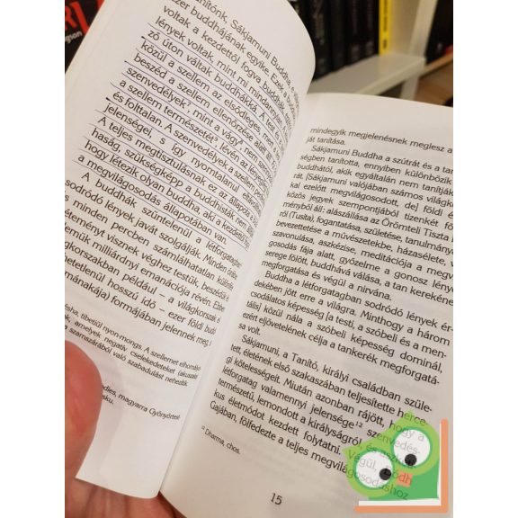 Őszentsége, a XIV. Dalai Láma: Tibeti buddhizmus - Kulcs a középső úthoz