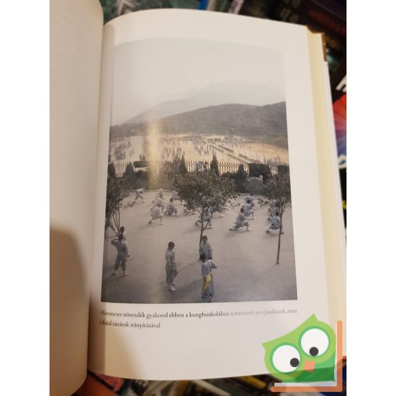 Baló Júlia: Tigrismester