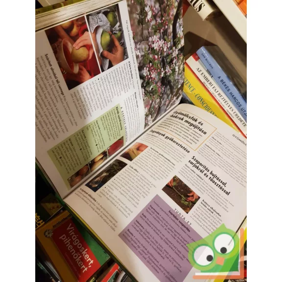 Joiner - Gradwell - Gurney - Maguire: Titkok és ötletek nagyapáink kertjéből (Reader’s digest) (ritka)