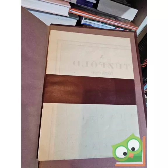 Alberto M. de Agostini: Tíz esztendő a Tűzföldön (A Magyar Földrajzi Társaság Könyvtára) (melléklettel)