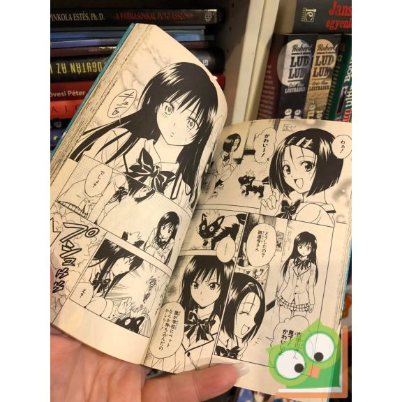 Kentaro Yabuki: To Love Ru Vol 10. (japán nyelvű manga)