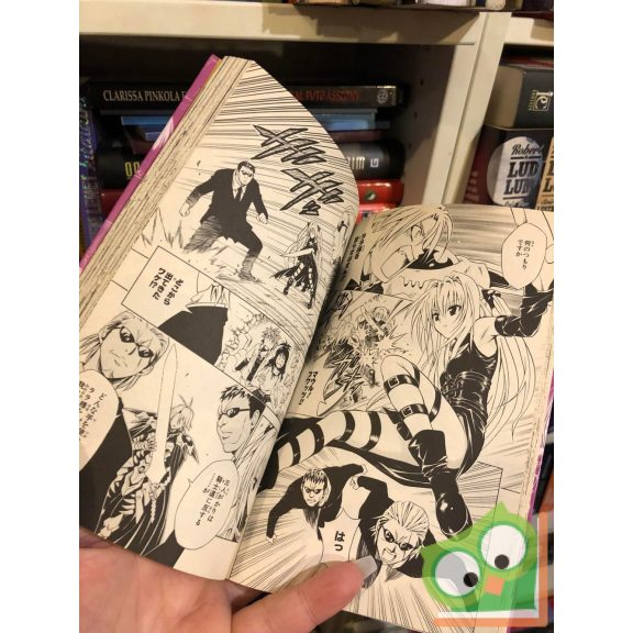 Kentaro Yabuki: To Love Ru Vol 11. (japán nyelvű manga)