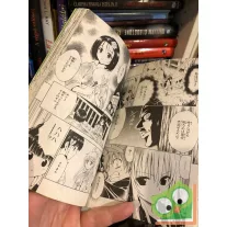 Kentaro Yabuki: To Love Ru Vol 13. (japán nyelvű manga)