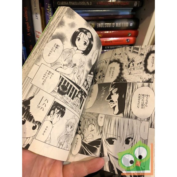 Kentaro Yabuki: To Love Ru Vol 13. (japán nyelvű manga)