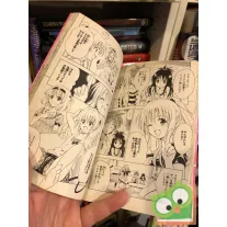 Kentaro Yabuki: To Love Ru Vol 14. (japán nyelvű manga)
