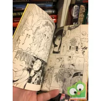 Kentaro Yabuki: To Love Ru Vol 15. (japán nyelvű manga)