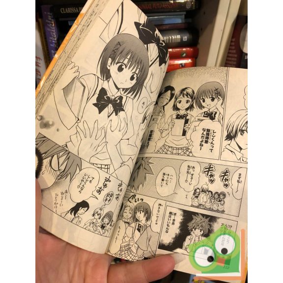 Kentaro Yabuki: To Love Ru Vol 3. (japán nyelvű manga)