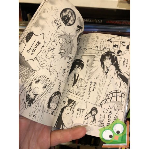 Kentaro Yabuki: To Love Ru Darkness Vol 10. (japán nyelvű manga)