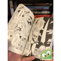   Kentaro Yabuki: To Love Ru Darkness Vol 11. (japán nyelvű manga)