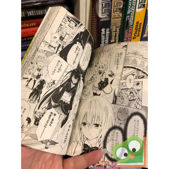 Kentaro Yabuki: To Love Ru Darkness Vol 13. (japán nyelvű manga)