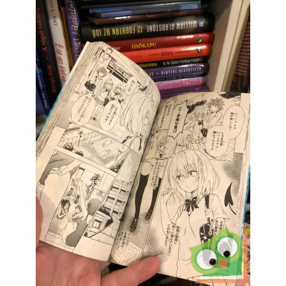 Kentaro Yabuki: To Love Ru Darkness Vol 14. (japán nyelvű manga)